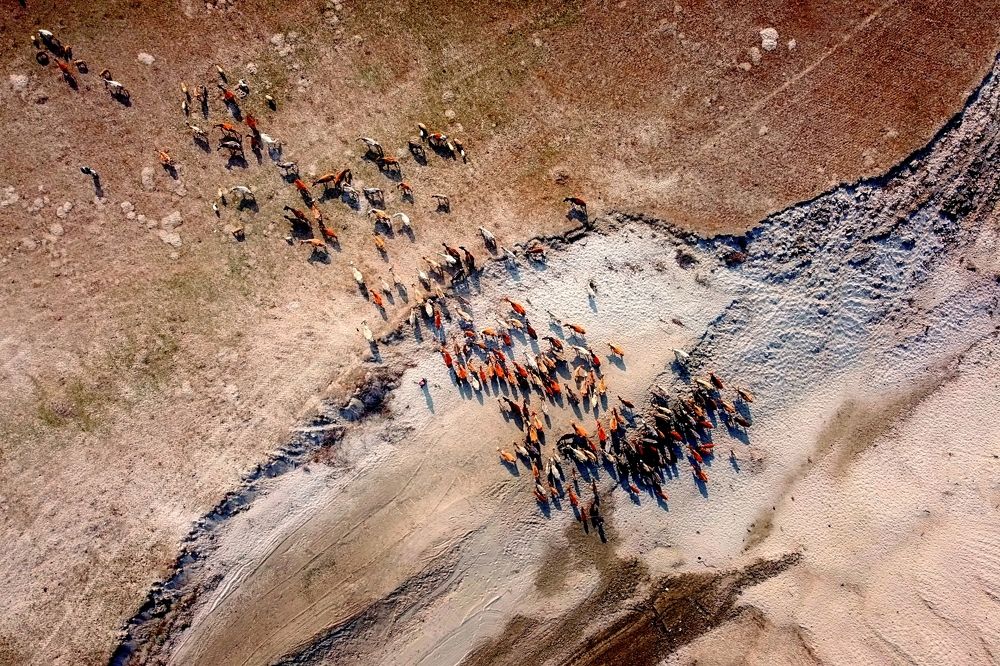 Photograph by Kayes Md Imrul