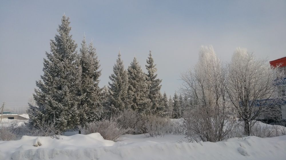 Зимний день в Челнах