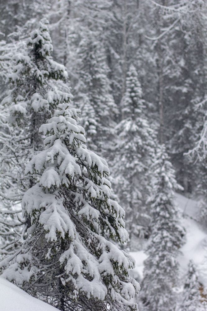 Photograph by Elena Kostochkina