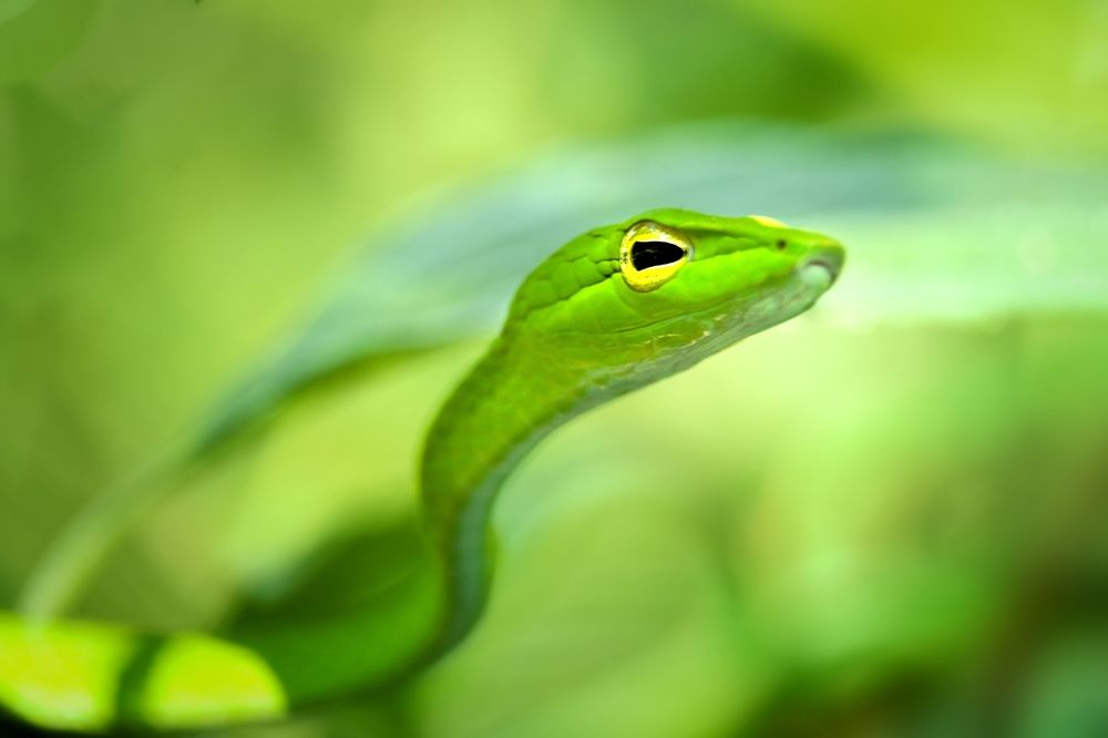 Photograph by Kayes Md Imrul