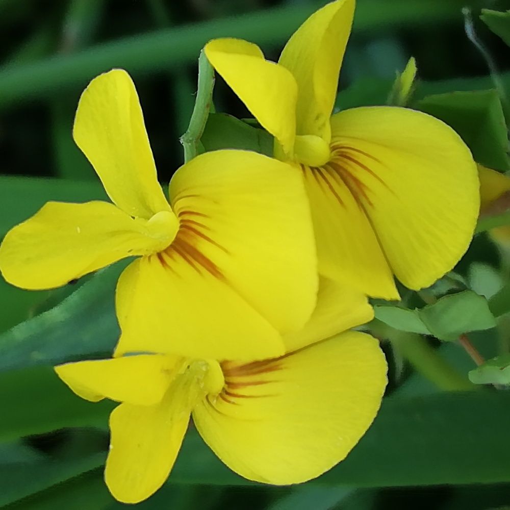 Photograph by Жанерке Хайбулда