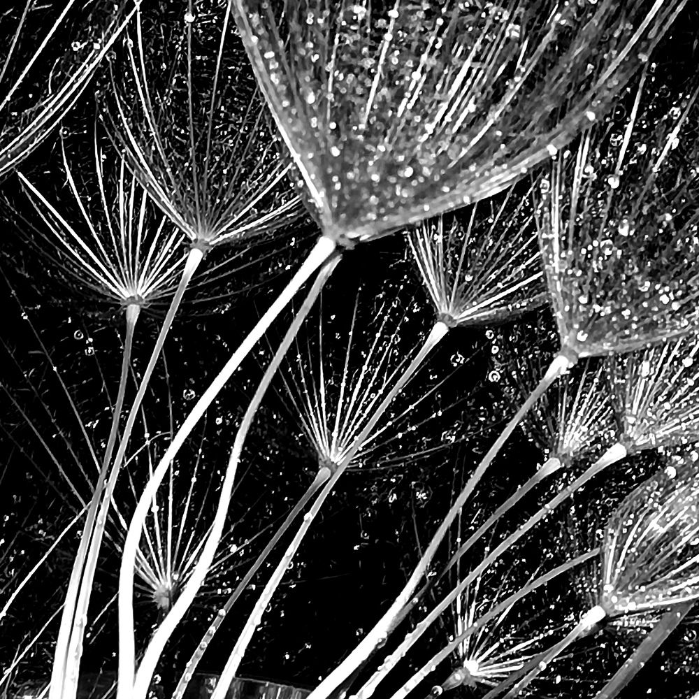 Photograph by Жанерке Хайбулда