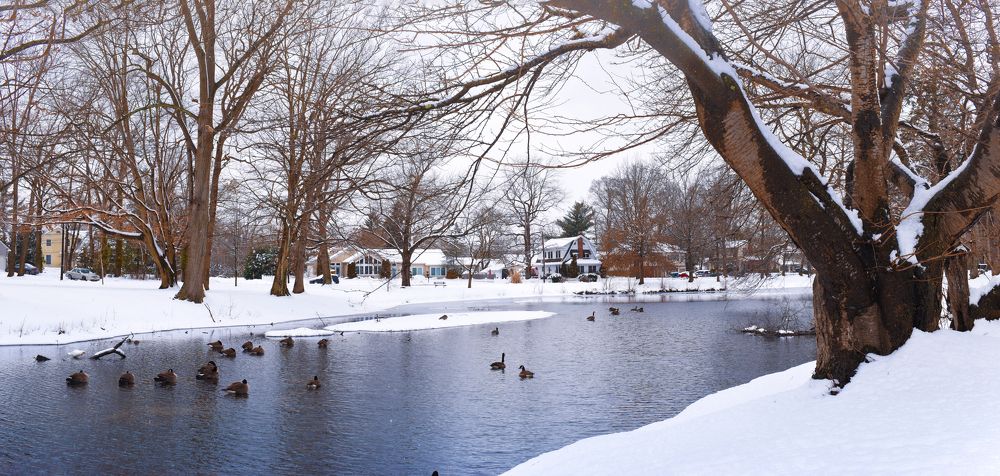 Photograph by Gargee Chowdhury