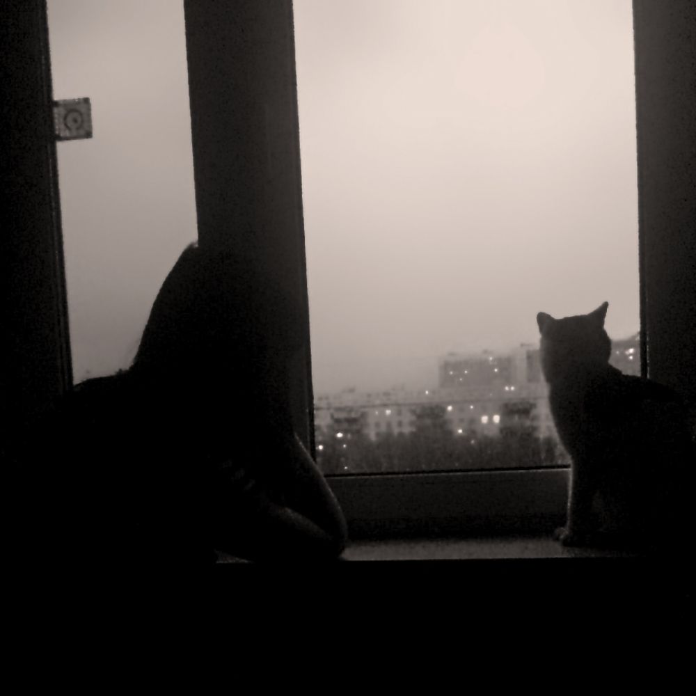 Photograph by Алексей Булгаков