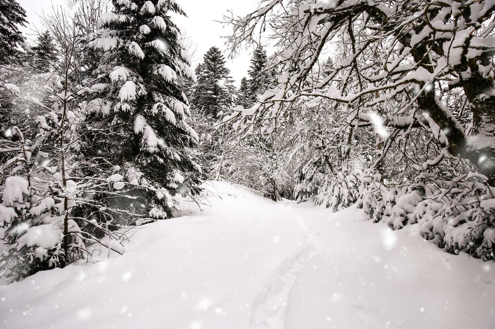 Photograph by Elena Gebert