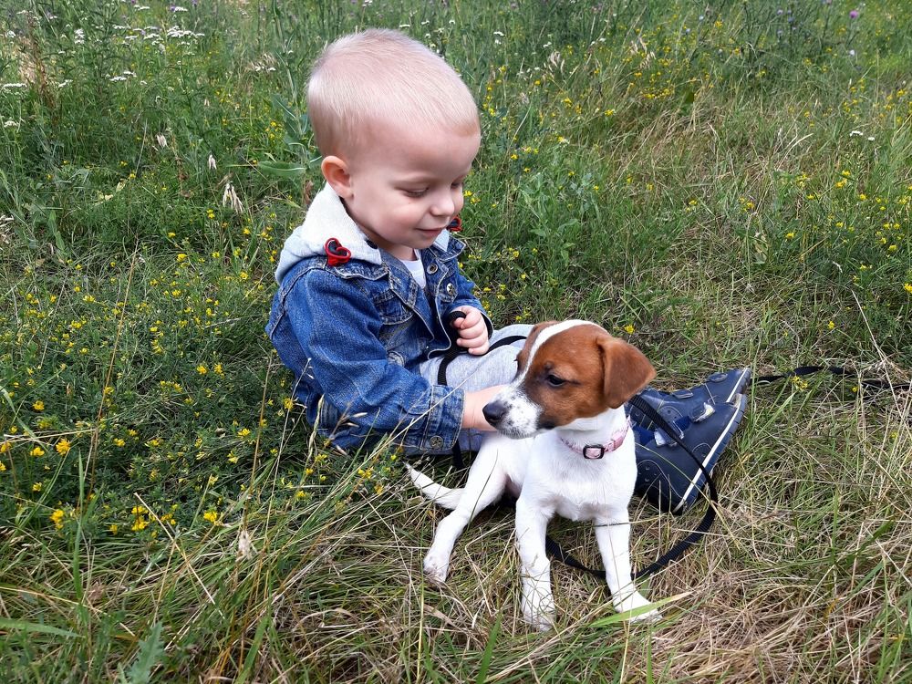 Photograph by Anastasiia