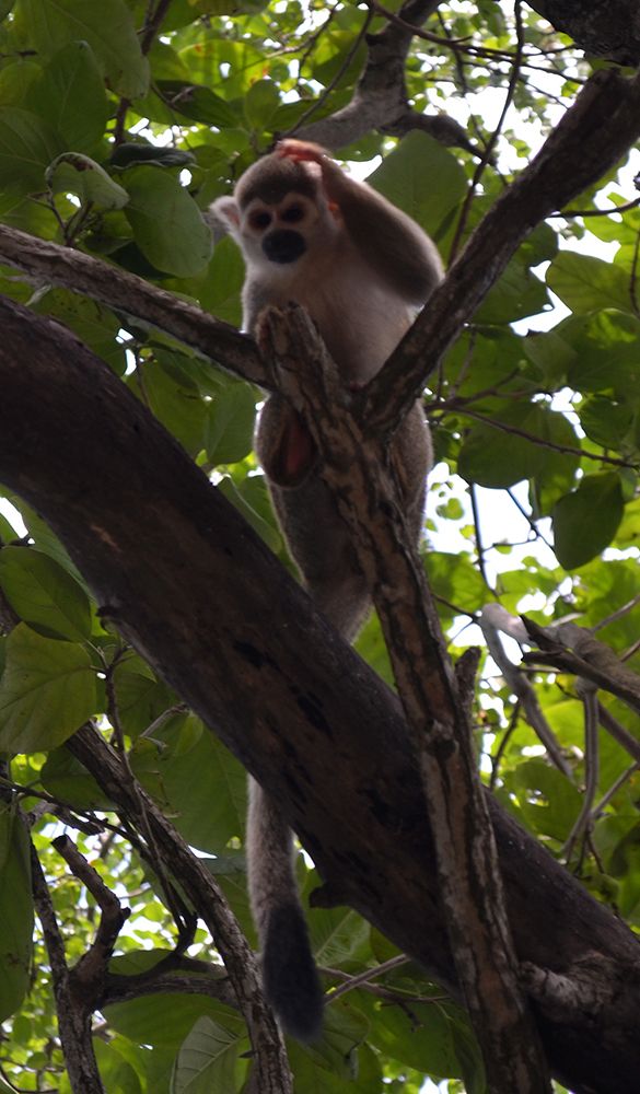 Photograph by Luis Miguel Báez Díaz
