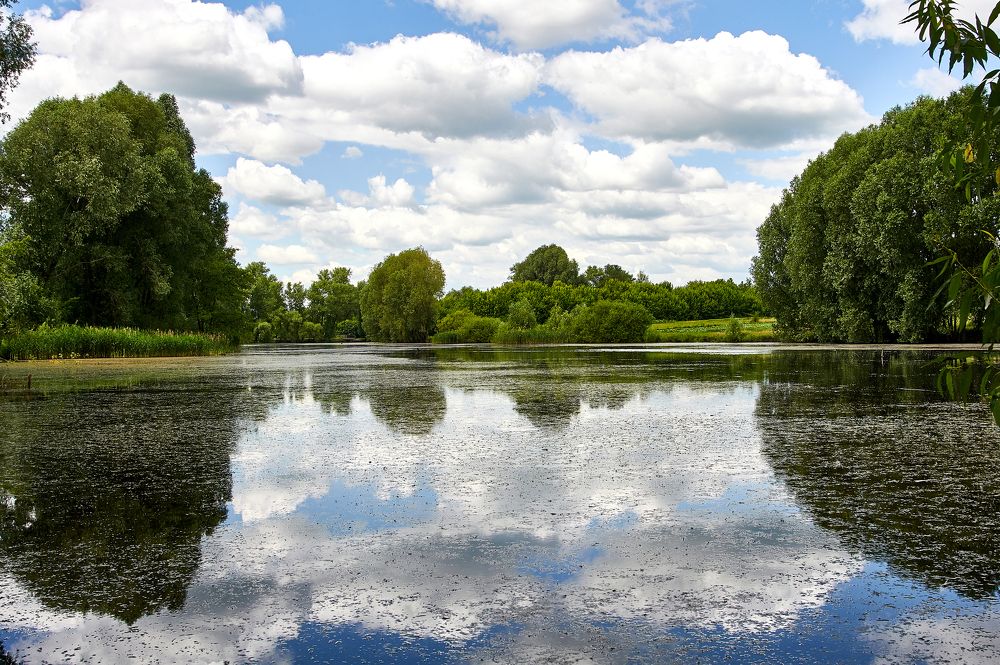 Фотография автора Святослав Романяк