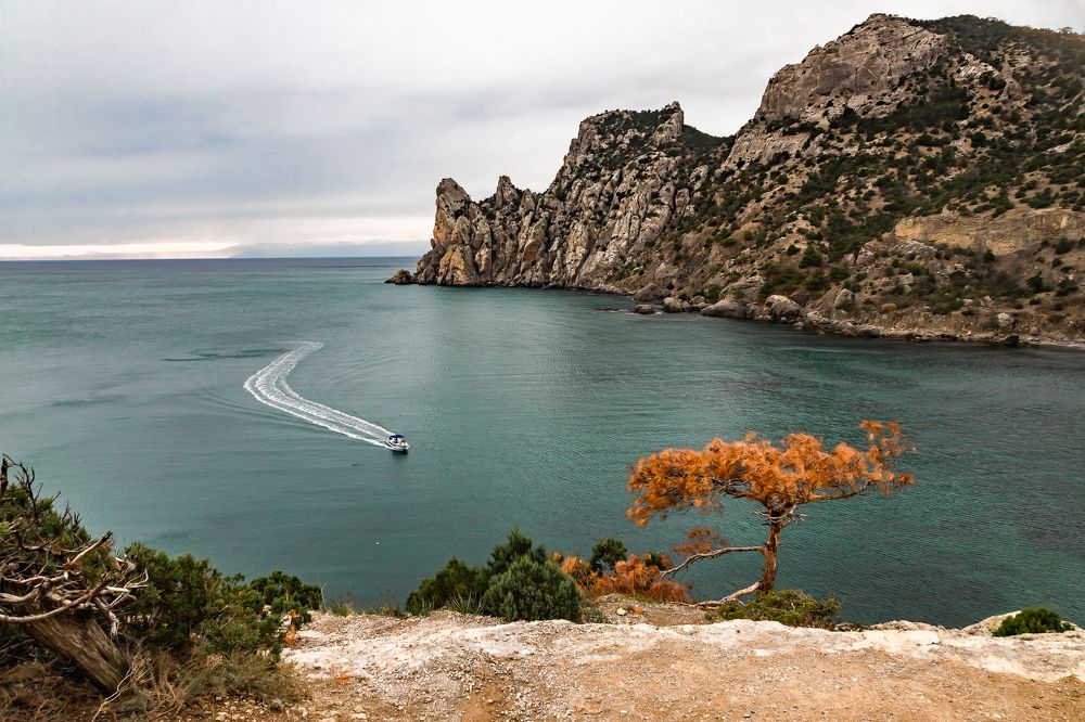 Photograph by Василий Бережной