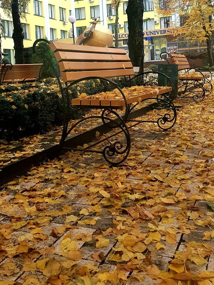 Осень в парке