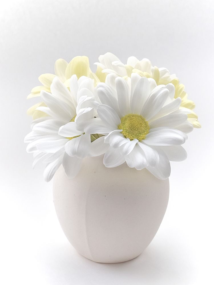 Photograph by Елена Сергеева