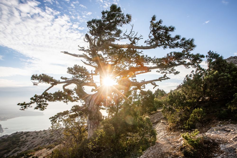 Photograph by Василий Бережной