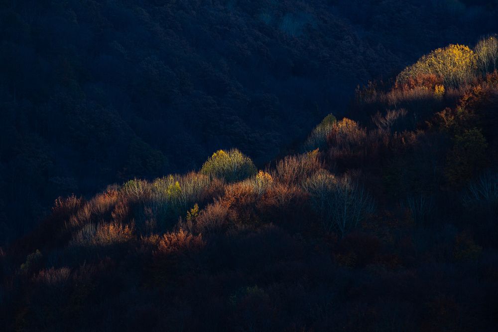 Photograph by Василий Бережной