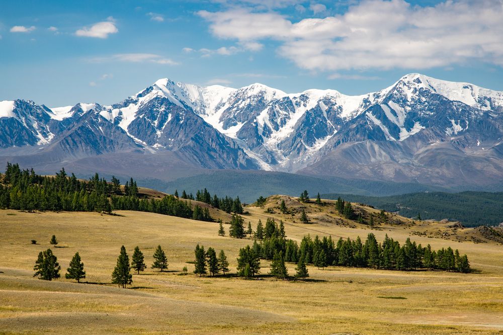 Photograph by Василий Бережной