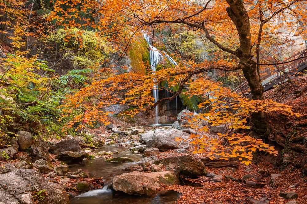 Photograph by Василий Бережной