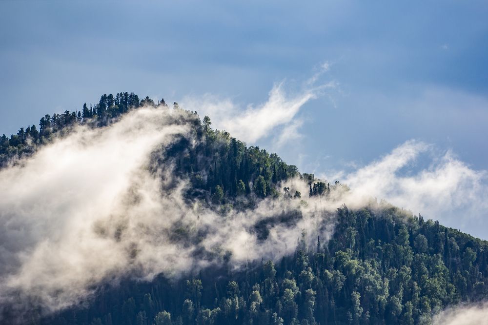 Photograph by Василий Бережной