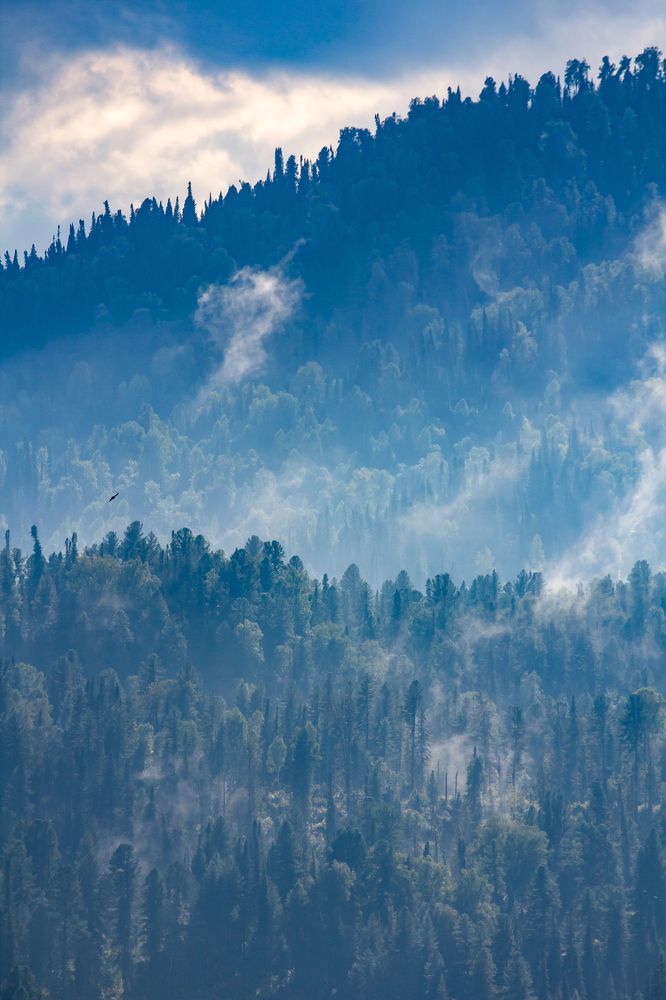 Photograph by Василий Бережной