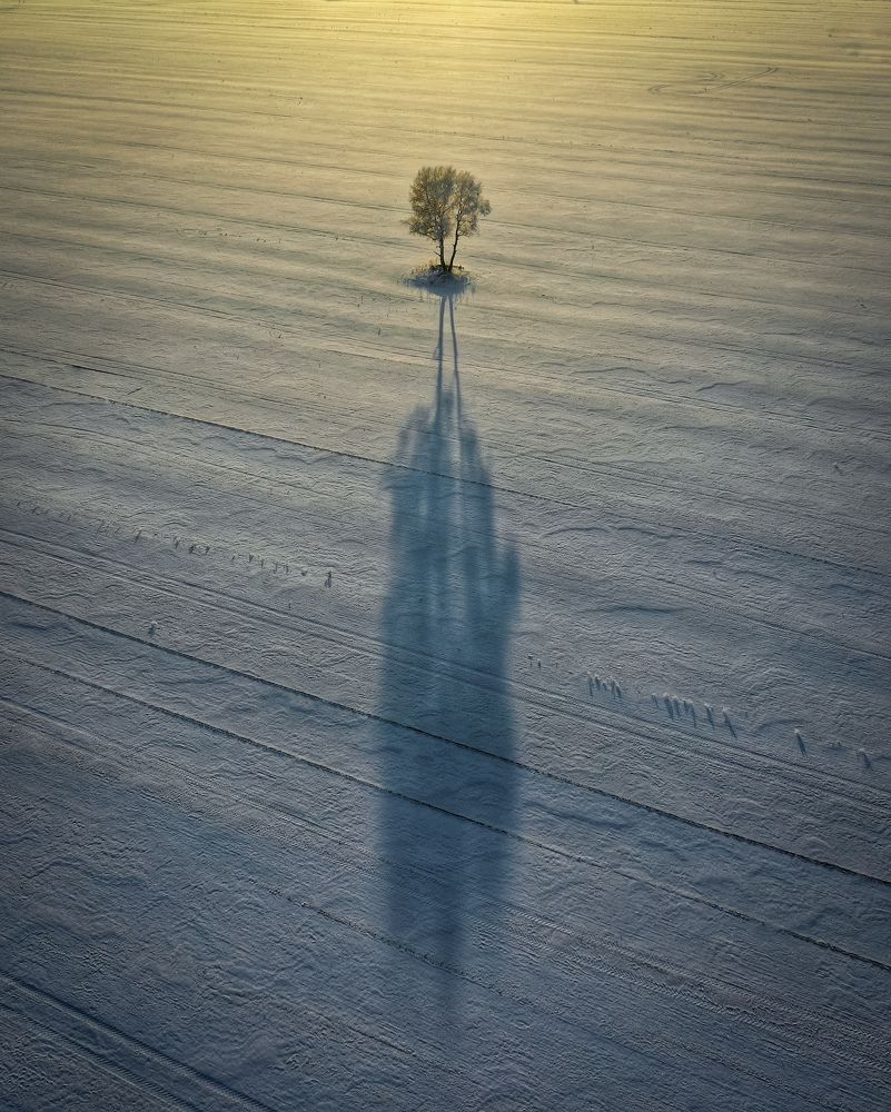 Одиночество