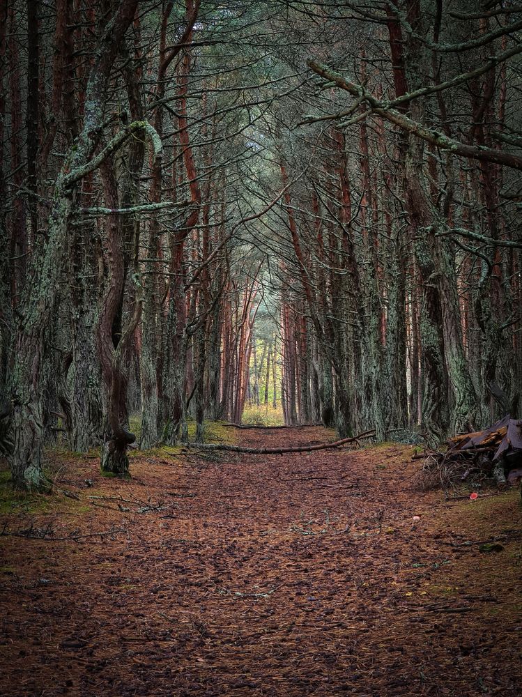 Photograph by Антон Мелёшкин