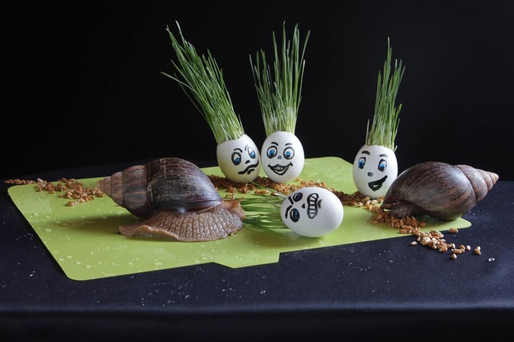 Photograph by Любовь Кучерук