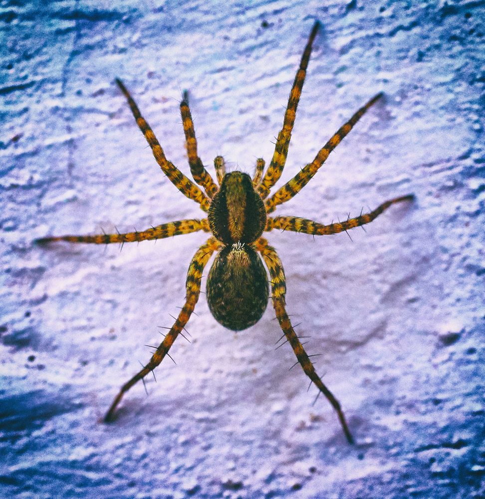 Фотография автора Святослав Романяк