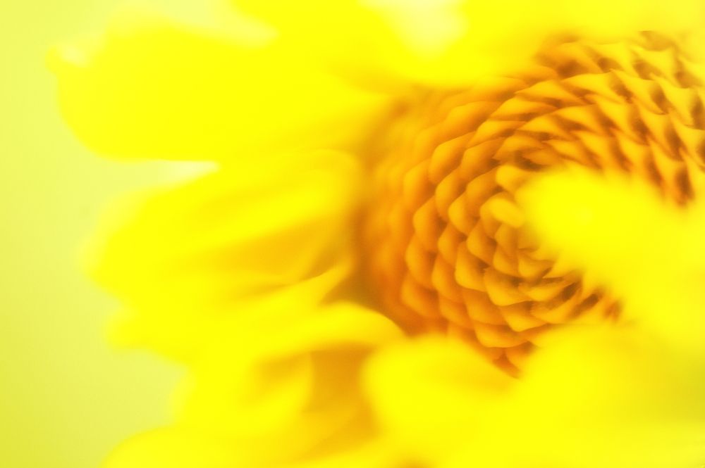 Фотография автора Святослав Романяк