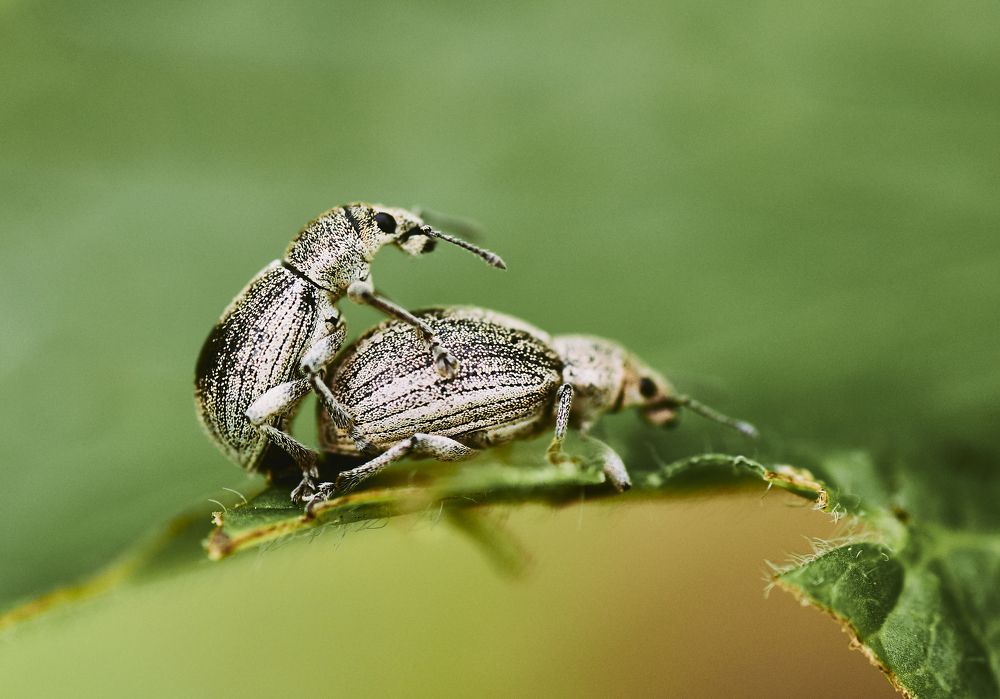 Фотография автора Святослав Романяк