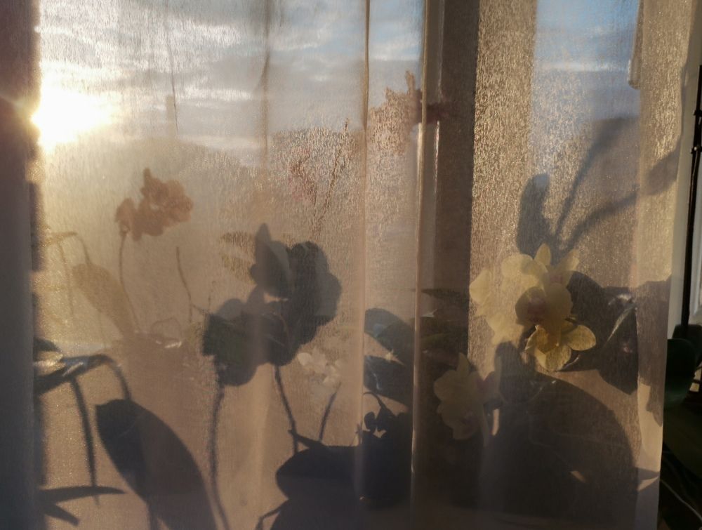 Photograph by Екатерина Исаева