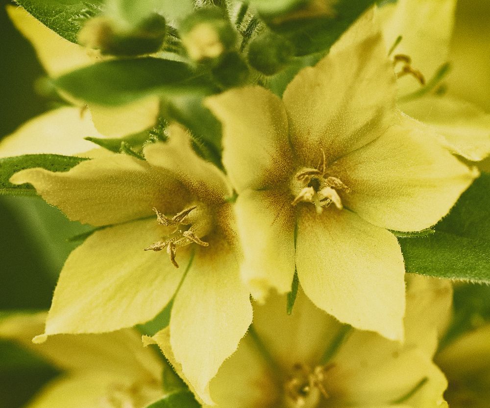 Фотография автора Святослав Романяк