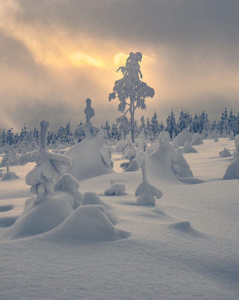 Shapes hidden in the snow