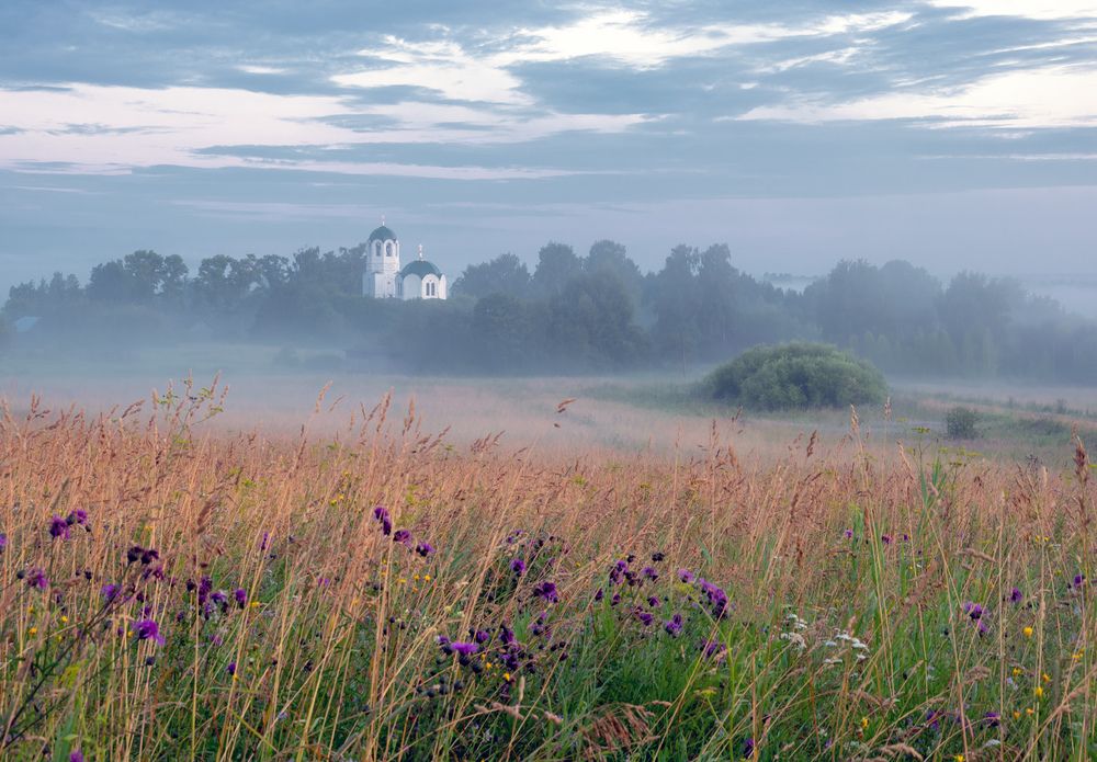 Туман в Завертной