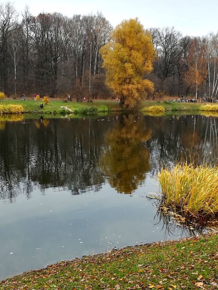 Photograph by людмила