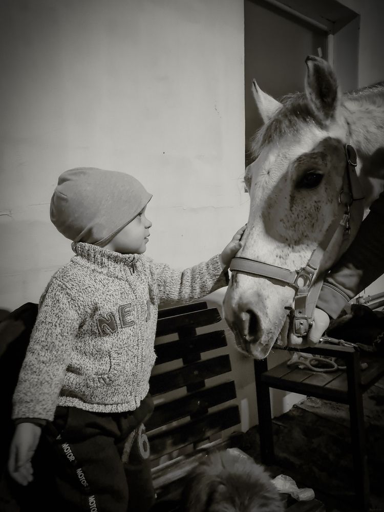 Photograph by Anastasiia