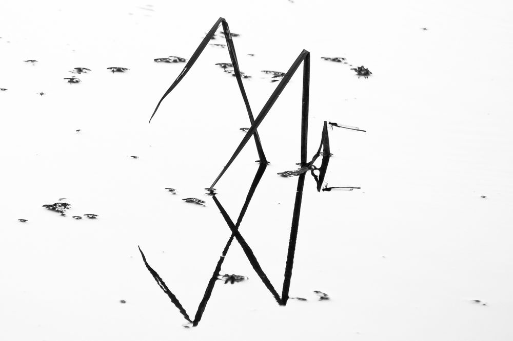 Photograph by Alexey Korolyov