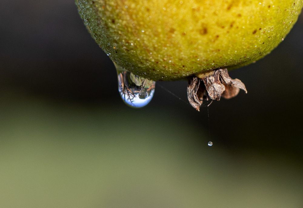 Photograph by Carmen Vich