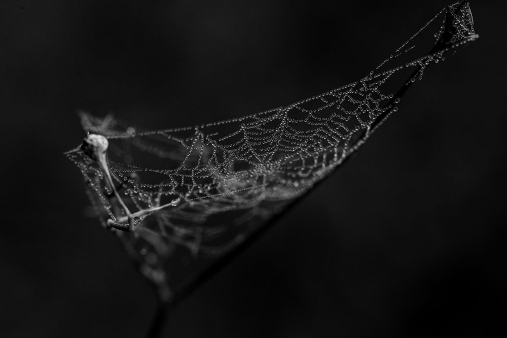 Photograph by Carmen Vich