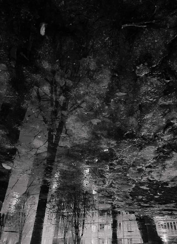 Photograph by Anastasiia