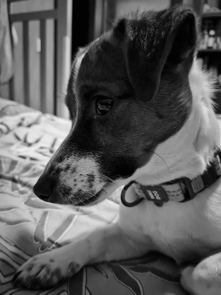 Photograph by Anastasiia