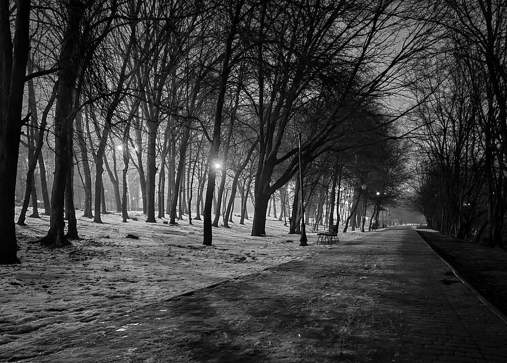 Photograph by Anastasiia