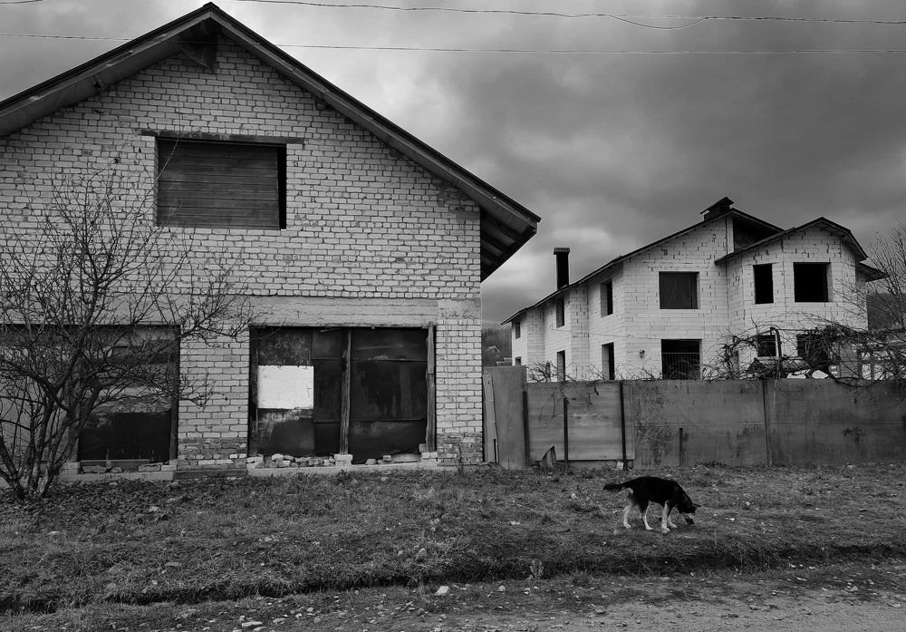 Photograph by Anastasiia