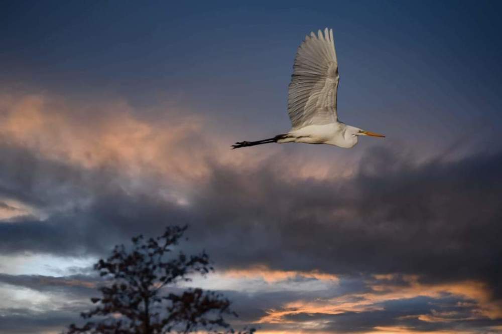 Фотография автора Michele Trombella