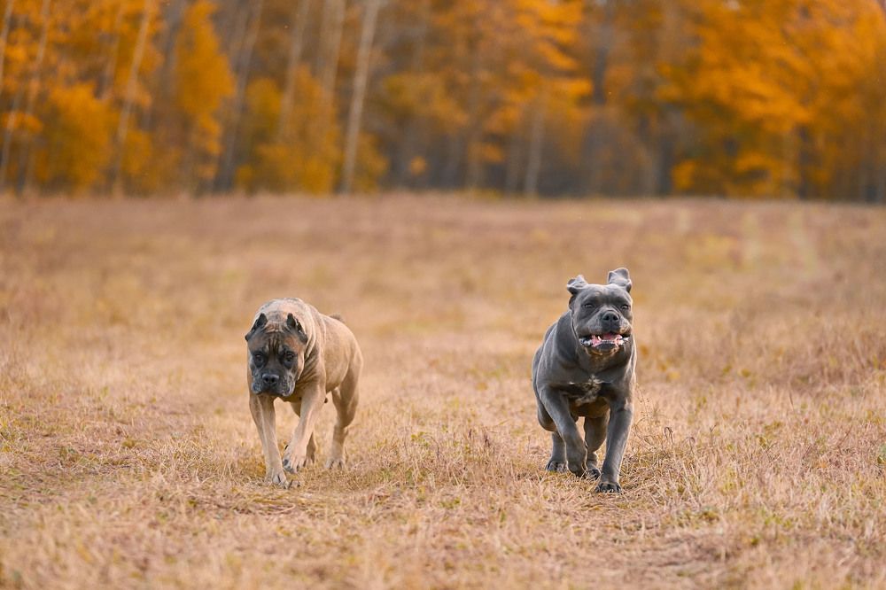 Photograph by Оксана Сироштан