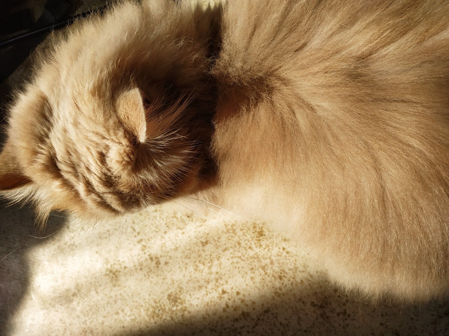 Photo #5648401