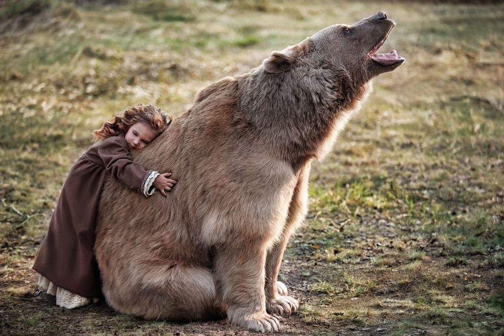 Photograph by Оксана Сироштан