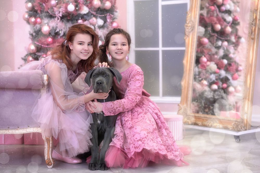 Photograph by Оксана Сироштан