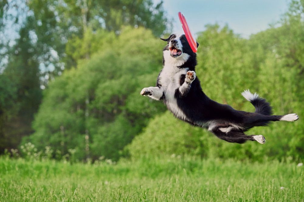 Photograph by Оксана Сироштан