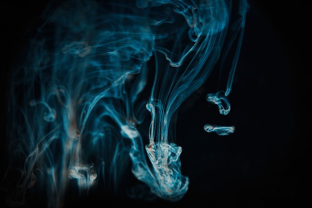 Photograph by Андрей Смирнов