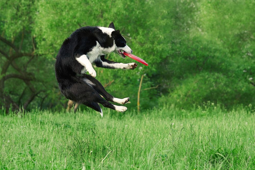 Photograph by Оксана Сироштан