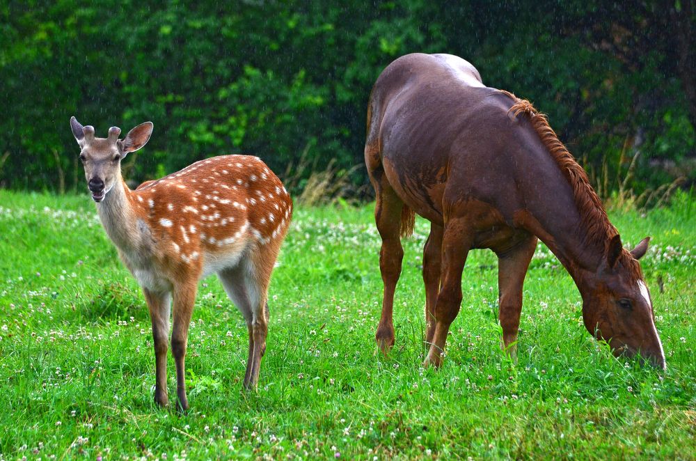 Фотография автора Антип