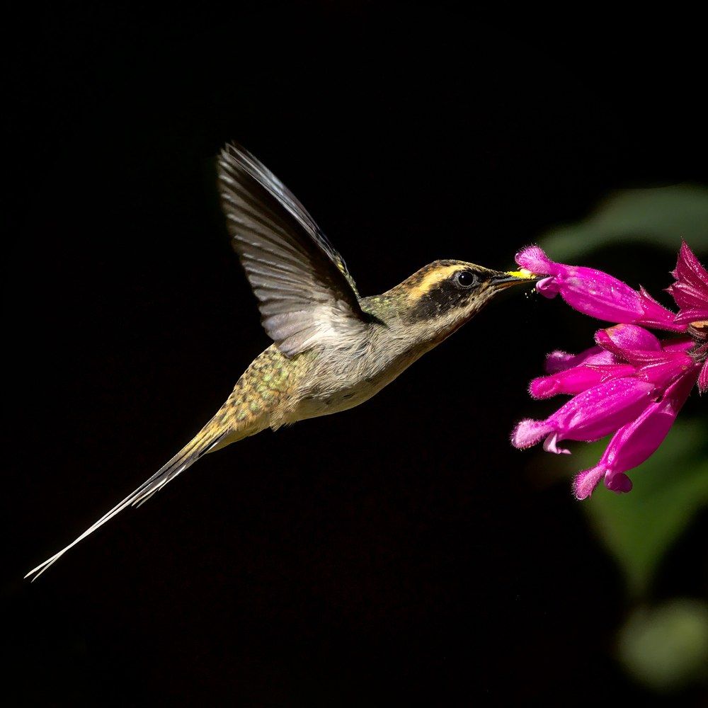 Photograph by Eduardo Bom